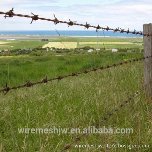 Boundaries Fence Made From Electro Galvanized Barbed Wire/Razor Wire